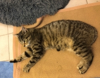 thumb_WhatsApp Image 2026-04-15 at 09.28.46